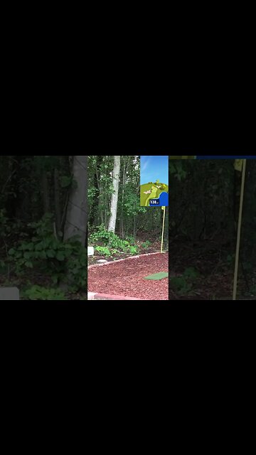 Rio Bravo CC - Hole 5 #Shorts #Golf #GarminR10 #R10 #Golfing #Golfer #SimGolf #YoutubeShorts #sports