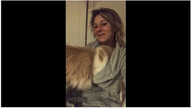 Cat tries to create "cat pouch" in owner's sweatshirt