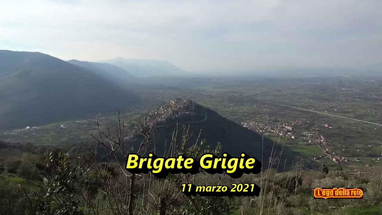Brigate grigie - 11 marzo 2021