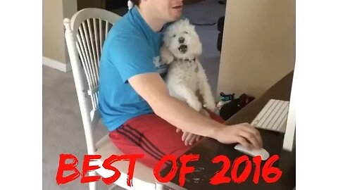 PATRICK AND QUINCY BEST VIDEOS 2016!