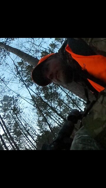 The Biggest Opossum I've Ever Seen | In the Field