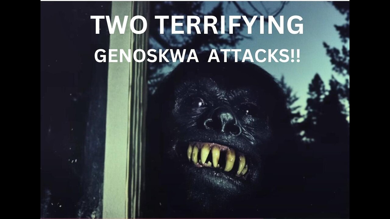 TWO TERRIFYING GENOSKWA ATTACKS (Pt 2)/ Adam in West Virginia