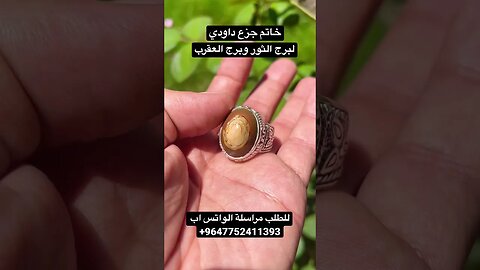 جزع داودي