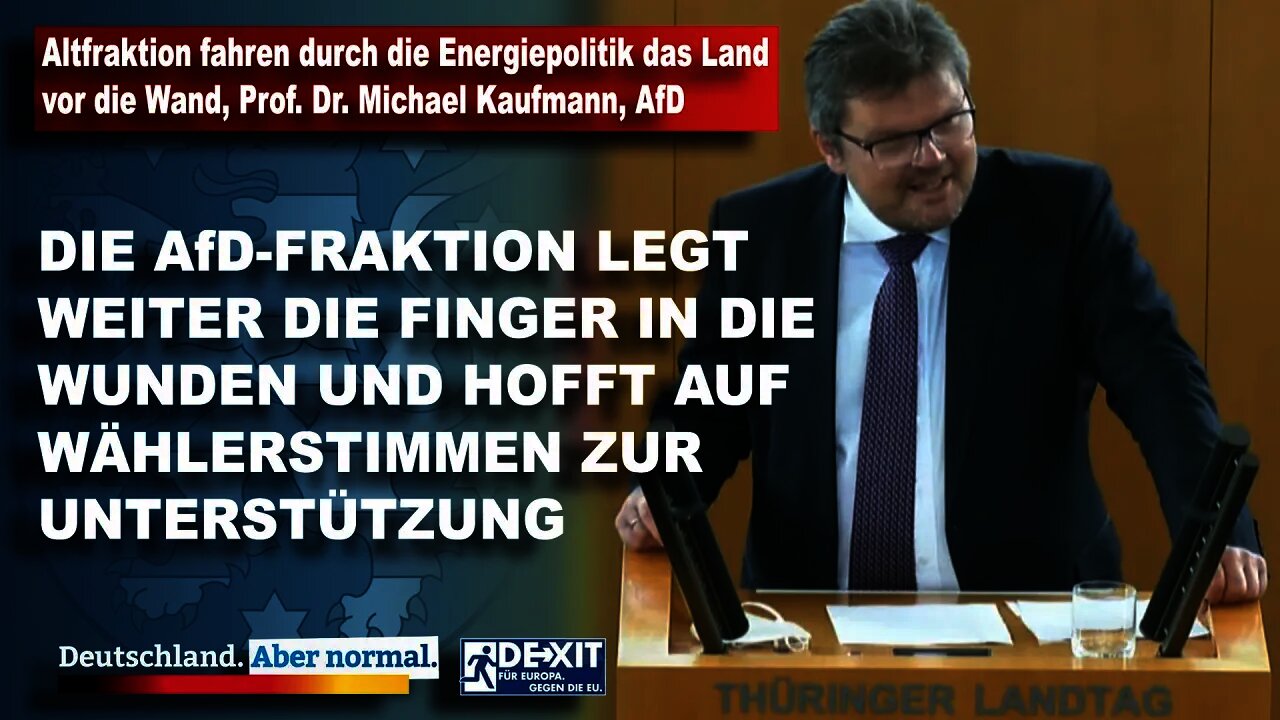 Altfraktion fahren durch die Energiepolitik das Land vor die Wand, Prof. Dr. Michael Kaufmann, AfD