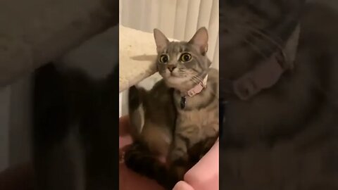 I scratch and scratch but itch no go away
