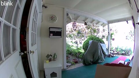 NORTH_VIDEO_DOOR_BELL_2023-05-04T11_17_43-0400.mp4