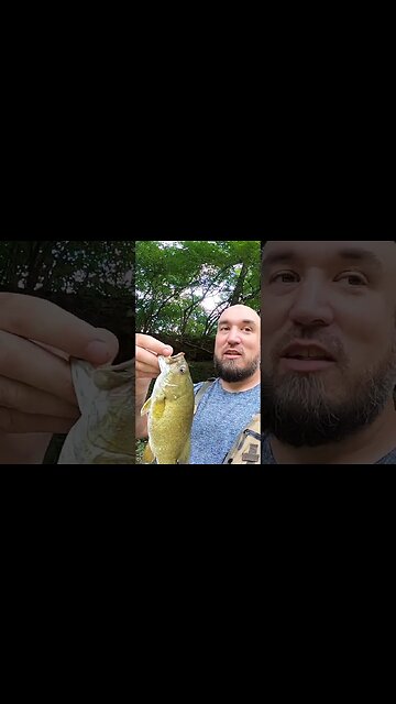 Discount brand baits still catch smallmouth!!!