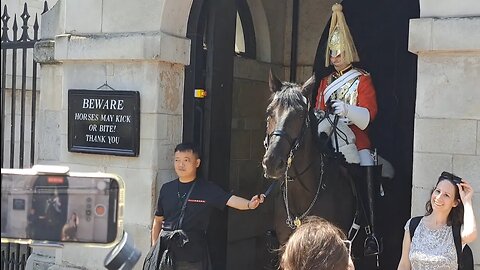 No shouting get your picture taken holding the reins #horseguardsparade