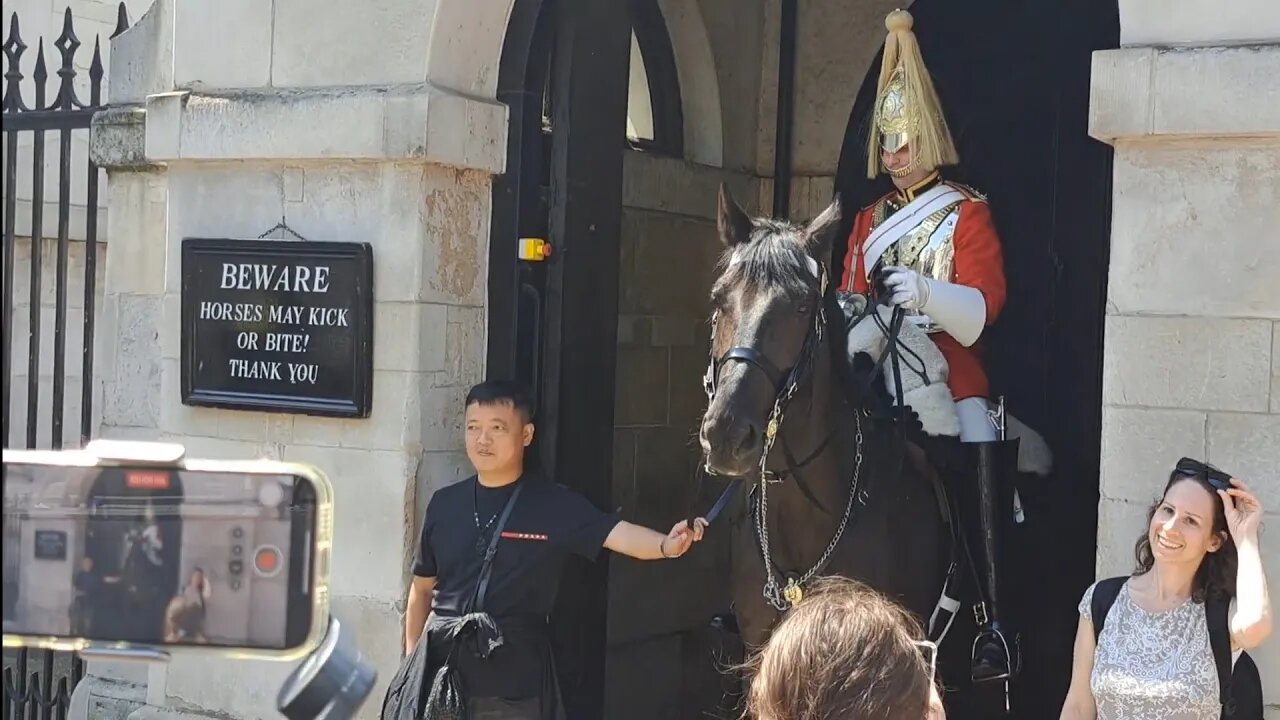 No shouting get your picture taken holding the reins #horseguardsparade