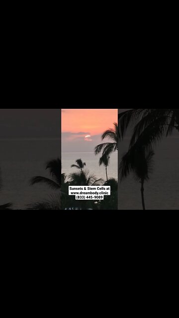 Sunsets & Stem Cells #stemcells #stemcelltherapy #regenerativemedicine #sunset