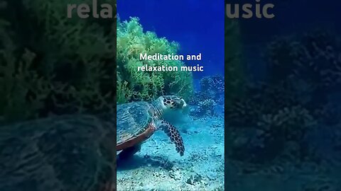 Under Water XIV - #mindrelaxing #relaxing #stressrelief #sleepwell #meditationtechniques #aquarium