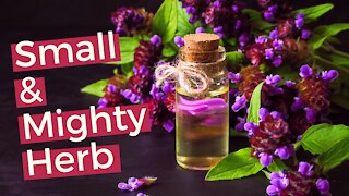 Self-Heal | 6 Remarkable Benefits of Self-Heal (Prunella Vulgaris)