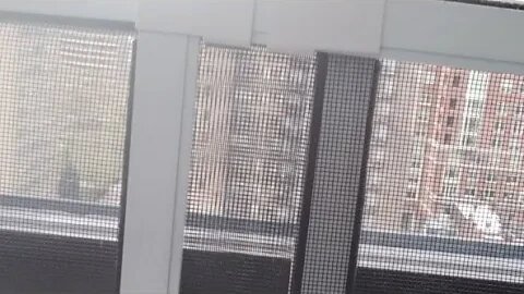Live Streaming Sans Screaming🤞 w Philadelphia Walks PTSD