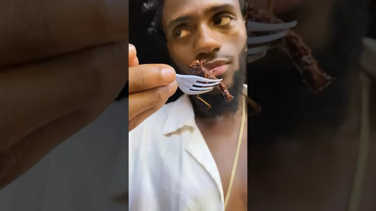 Eating A Bug For The First Time Ever!