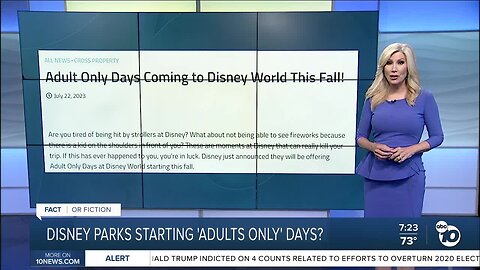 Fact or Fiction: Adult only days coming to Disneyland?