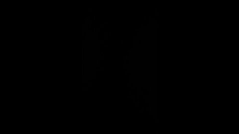 How to pronounce lunch