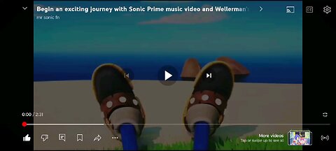 Sonic WellerMan ⛵🌊🦜