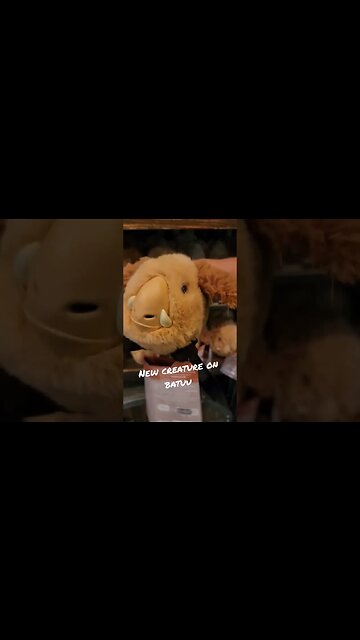 A New Creature Has Made It Too Batuu | Disney's Hollywood Studios