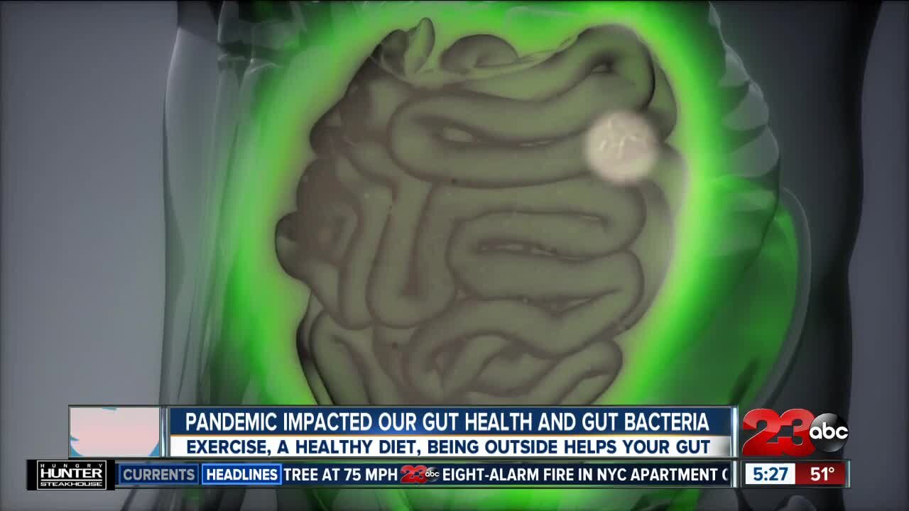 Pandemic impacted our gut health and gut bacteria, Exercise, a healthy diet, being outside helps your gut