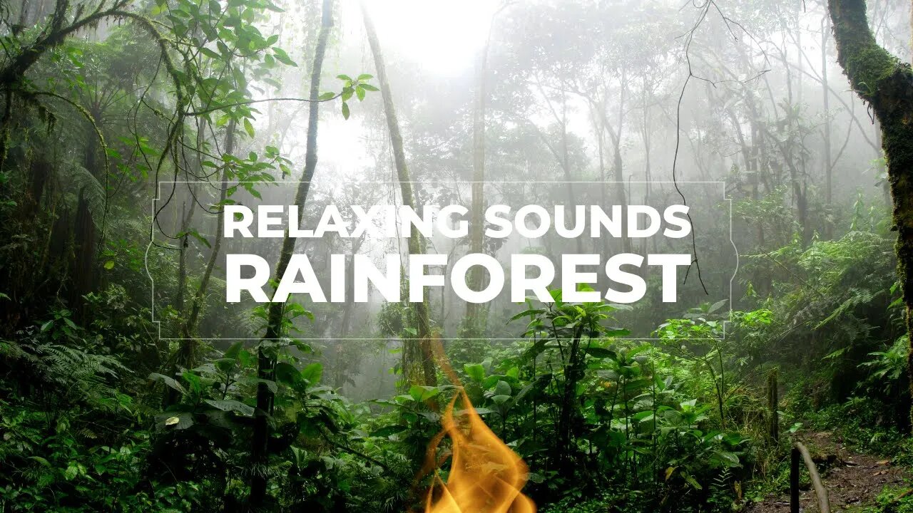 Rainforrest rain, relaxation sounds of the rain, for sleep