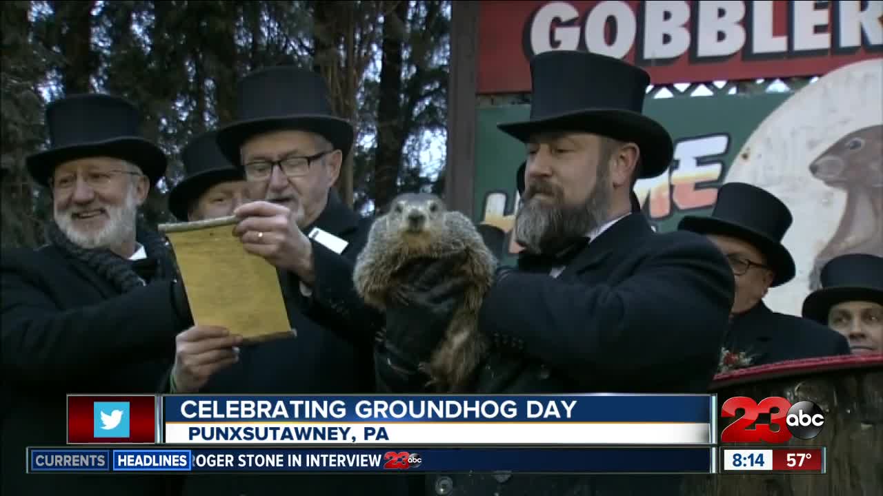 Groundhog Day prediction 2019