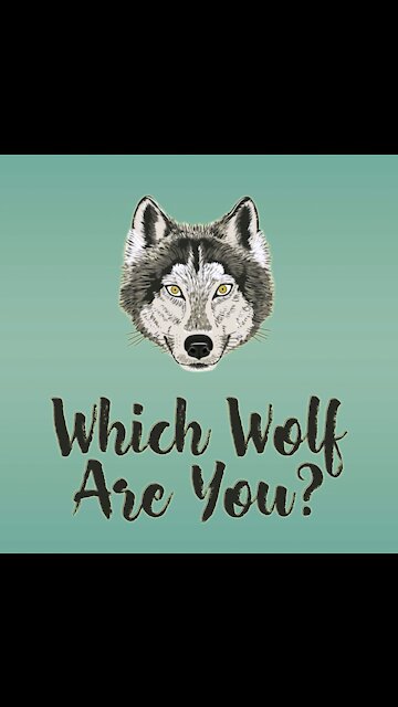 Which Wolf Are You? [GMG Originals]