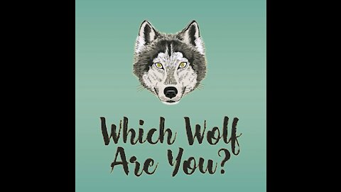 Which Wolf Are You? [GMG Originals]