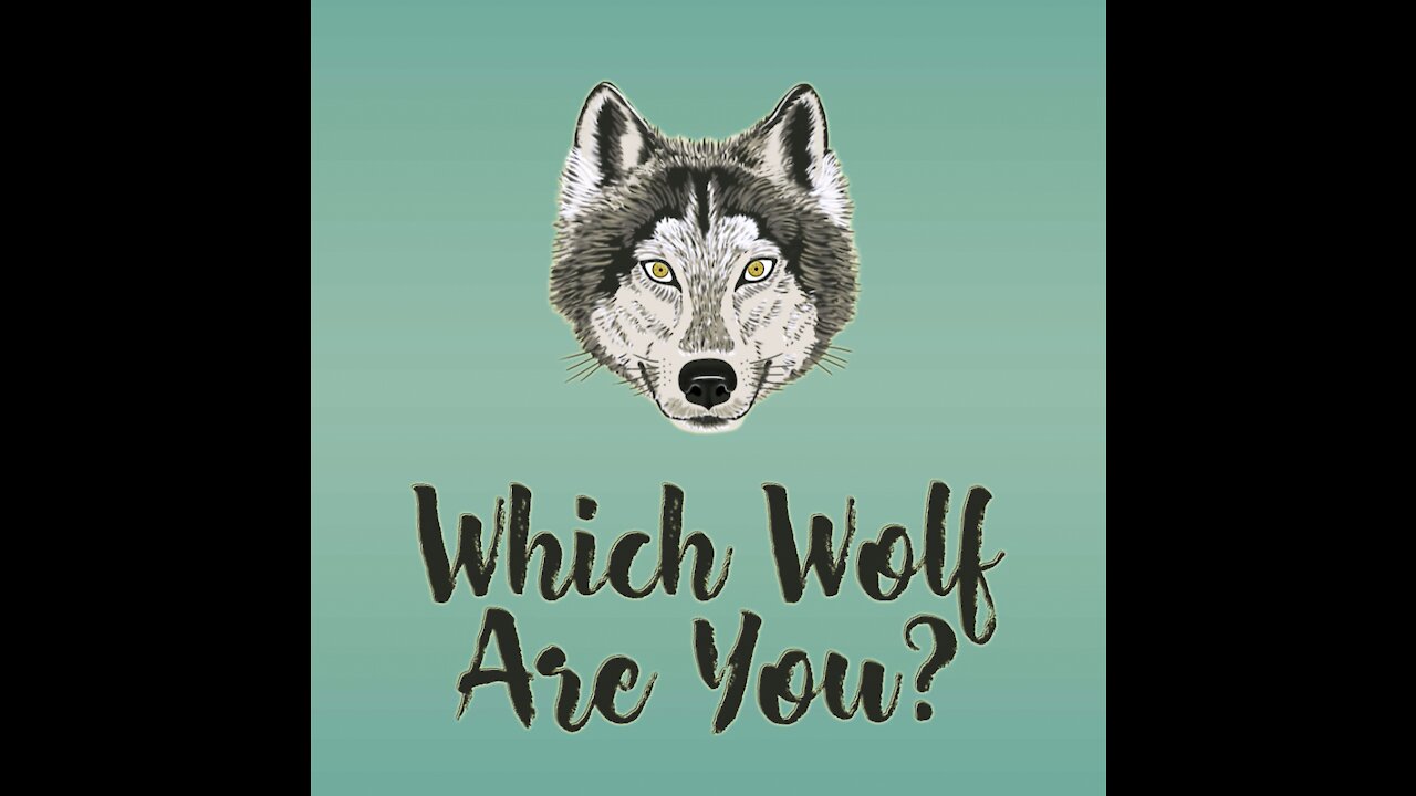 Which Wolf Are You? [GMG Originals]