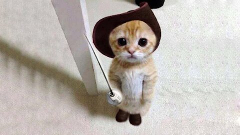 Funny And Cute Pets | Try Not To Laugh To These Cute Pets - 2021 💗