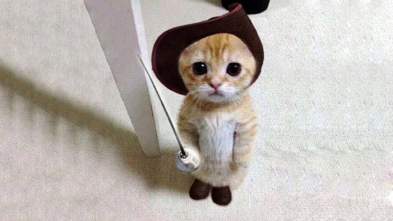 Funny And Cute Pets | Try Not To Laugh To These Cute Pets - 2021 💗