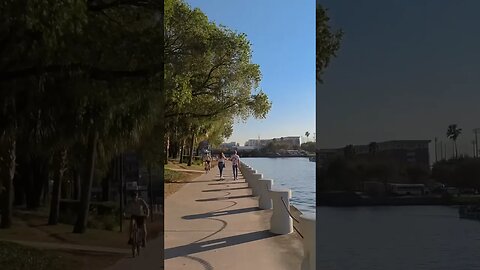 Tampa River Walk