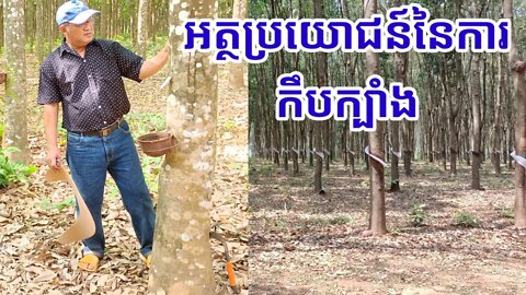 អត្ថប្រយោជន៍នៃការកឹបក្បាំងកៅស៊ូ