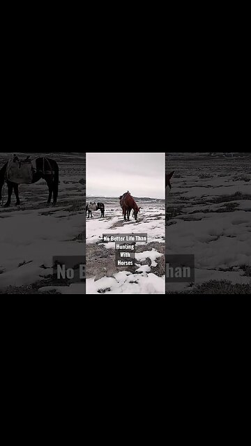No Better Life than Hunting With Horses! #elk #packout #huntingwithhorses #shorts #nobetterlife