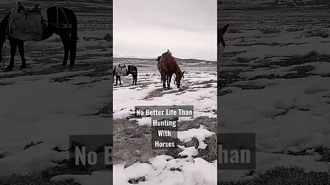 No Better Life than Hunting With Horses! #elk #packout #huntingwithhorses #shorts #nobetterlife