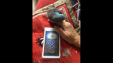 Your Weekly Dose of Truth Tarot March 14-20, 2024