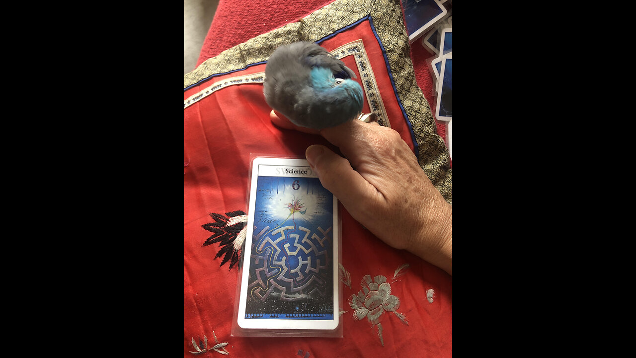 Your Weekly Dose of Truth Tarot March 14-20, 2024