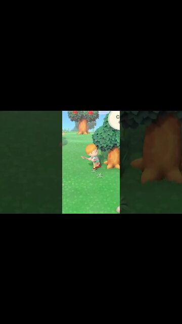 Animal Crossing really is damn good!👩‍🌾😸#animalcrossing #gaming #switch