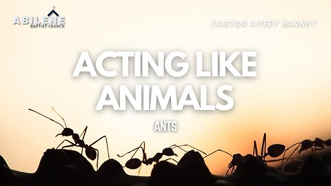 Acting Like Animals: Ants Part 2 (Full Service) | Pastor Avery Barney