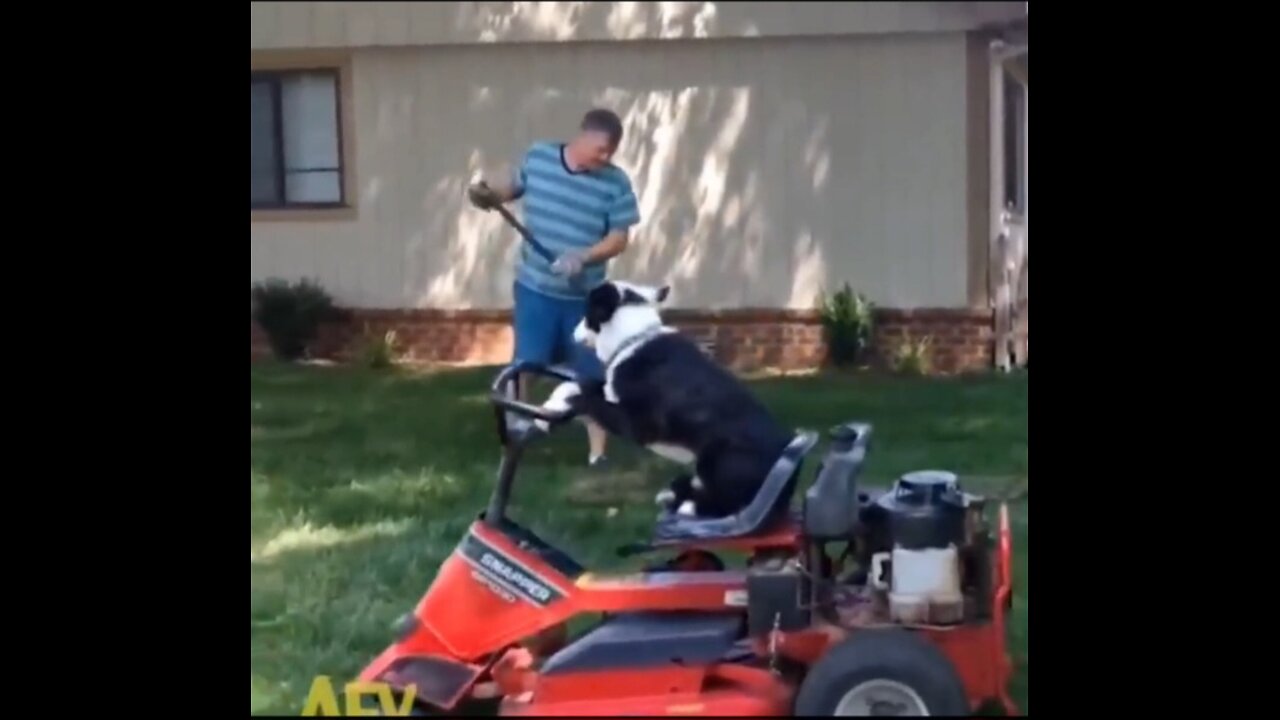 Try not to laugh challange