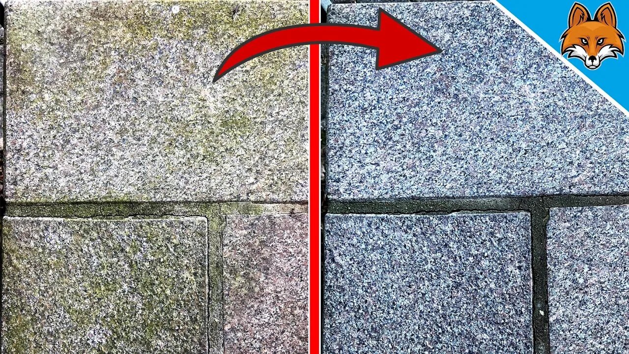 Remove Green Algae in FEW MINUTES with a home Remedy 💥 (Extremely simple) 🤯