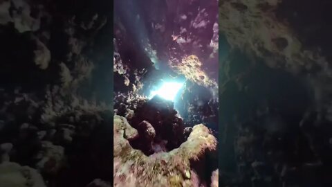 Must seen 😳 wow 😯 #dive #shorts #viral #saintpee #music #trending #trend #beautiful #amazing