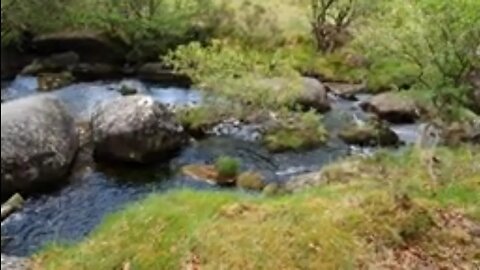 Leave No Trace . vlog. riverside. Dartmoor 28th May 2023