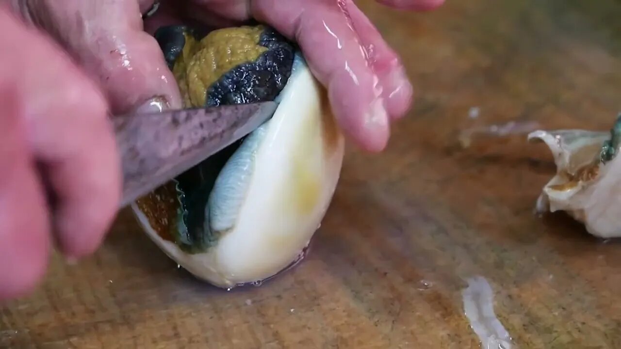 ALIEN SEA SNAIL Japanese Street Food-8