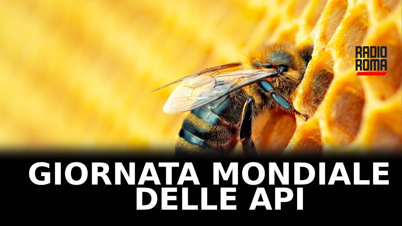 Giornata Mondiale delle Api