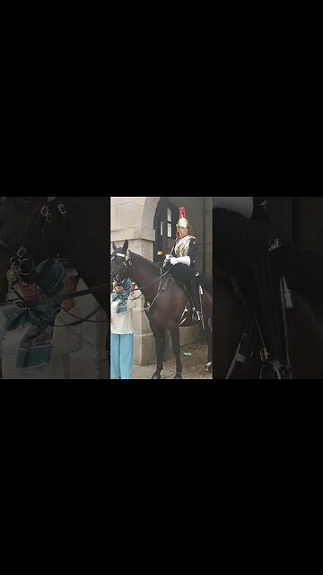 Holding the reins at horse guards #horseguardsparade