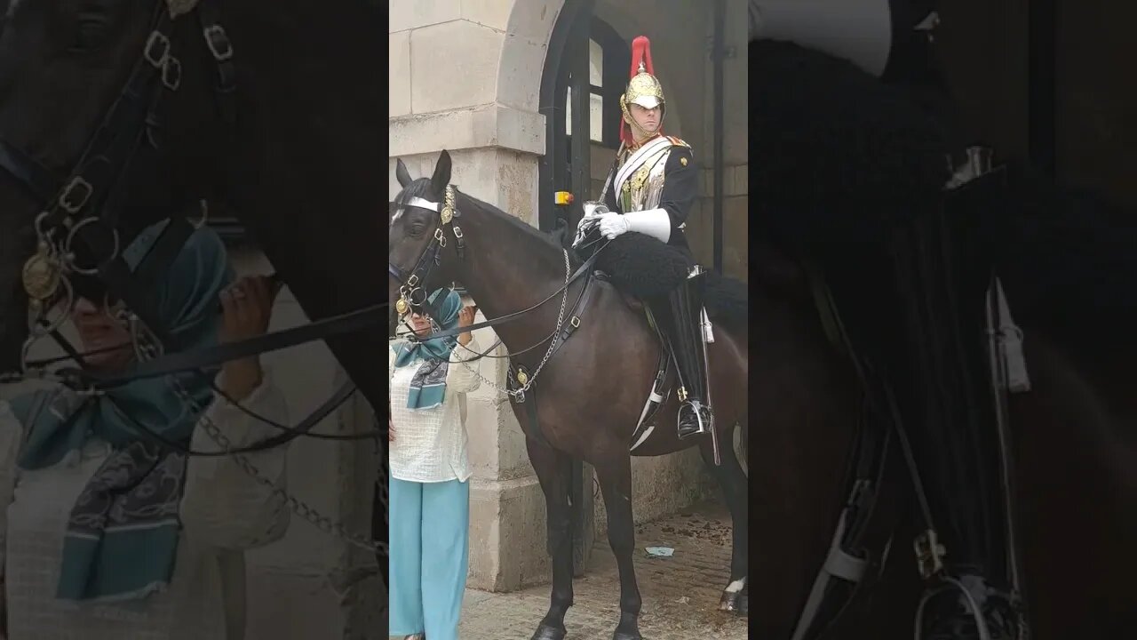 Holding the reins at horse guards #horseguardsparade