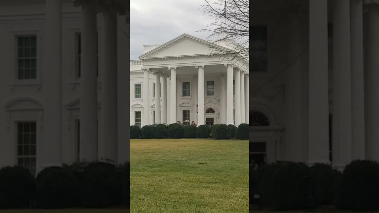 12/29/21 Nancy Drew in DC- Trip to Delaware to find Sleepy Yesterday Recap