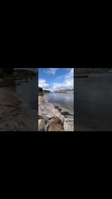 Mewa - drugie starcie