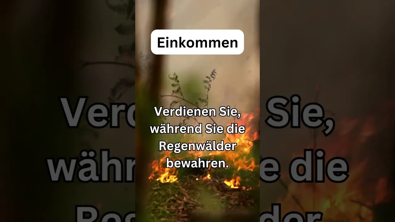 Helfen wir TUPAN den Regenwald zu retten! Mit dem Link in der Beschreibung helfen und verdienen!
