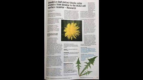Spike Protein 1 Min Antidote | Dandelion